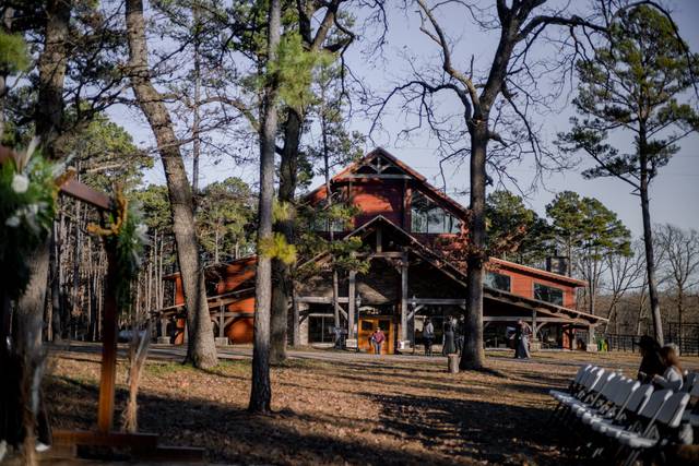 Back In The Pines