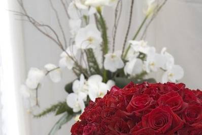 Bailey Michael Floral