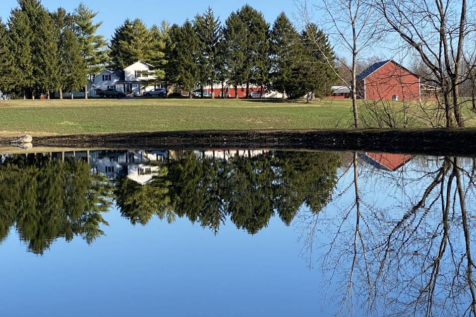 View of the farm from the lake