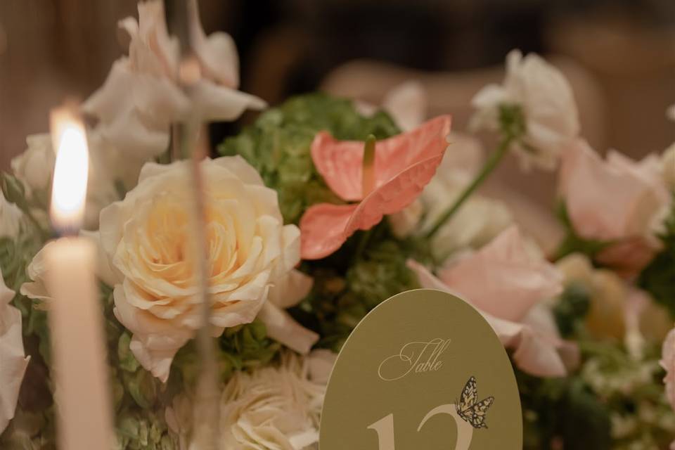 VOLARE Planning & Design