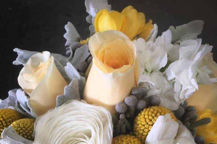 White ranunculus, pale yellow roses, billy buttons, dusty miller, silver brunia