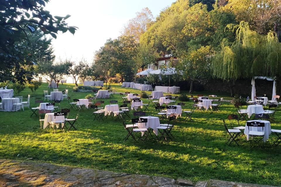 A buffet in the garden