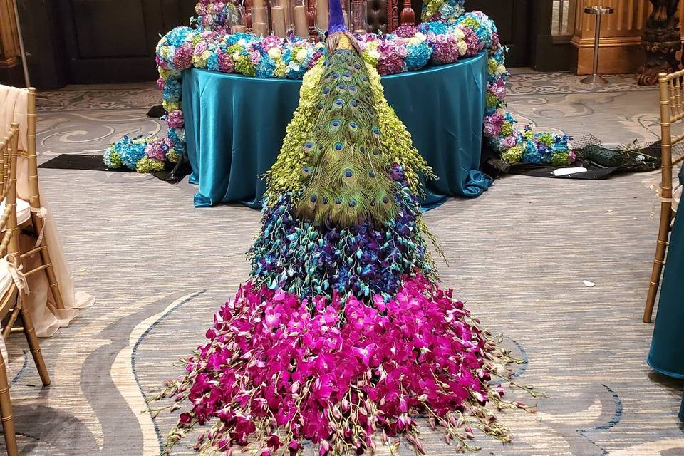Peacock in paradise