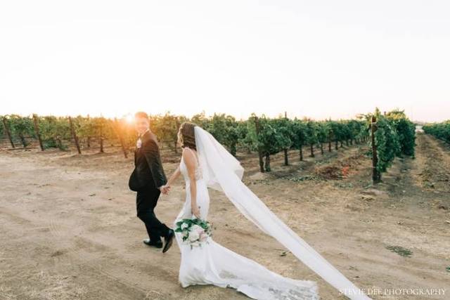 Vineyard