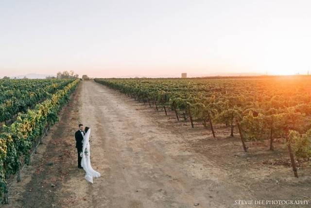 Vineyard View