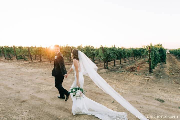 Vineyard