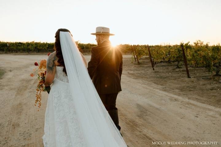 Vineyard