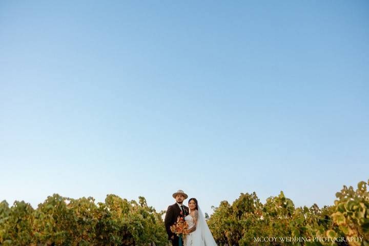 Vineyard