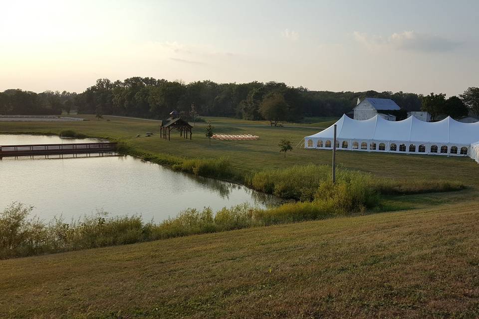 Wild Air Wedding