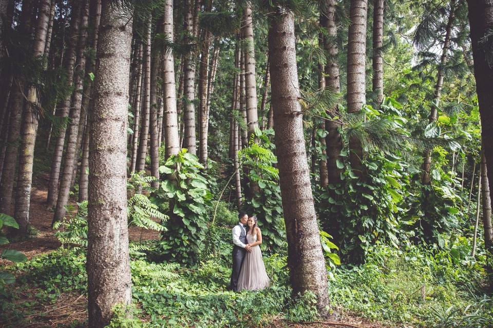 Hawaii Wedding