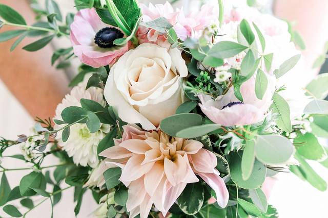 Ashley Waterman Photography