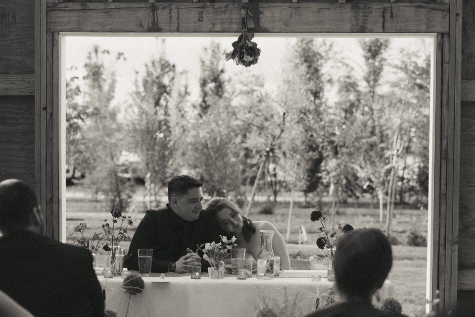 Toasts