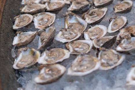 Louisiana Oyster Pirogue