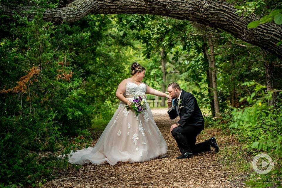 Fairy Tale Weddings!