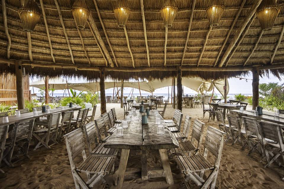 Palapa