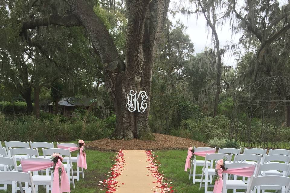 Petals to line the burlap runner