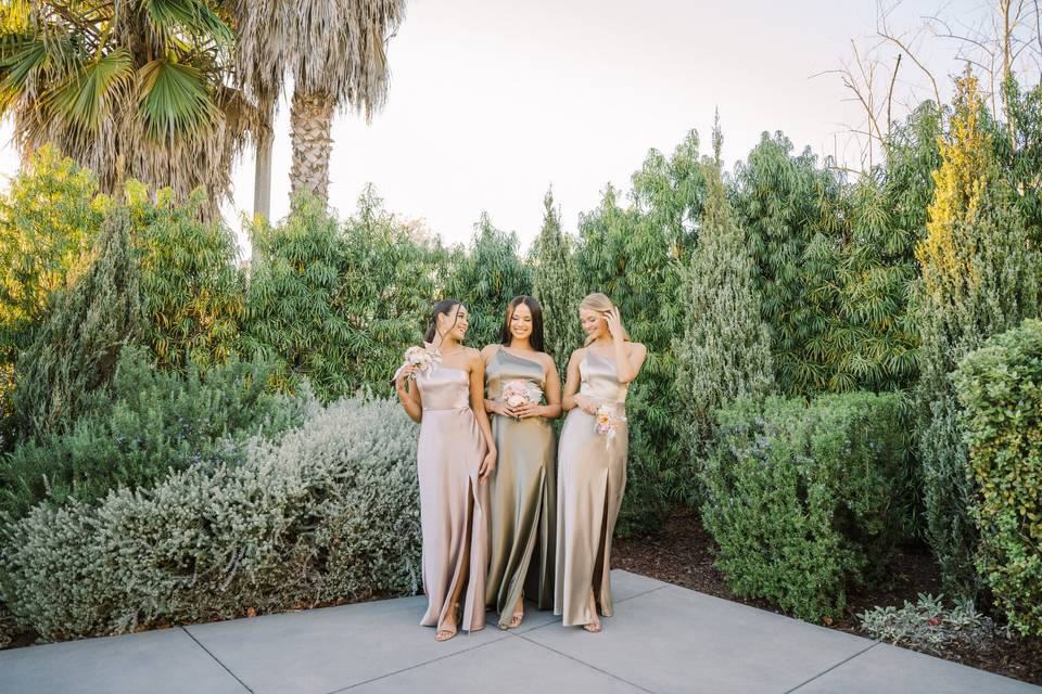 Birdy Grey bridesmaids dresses