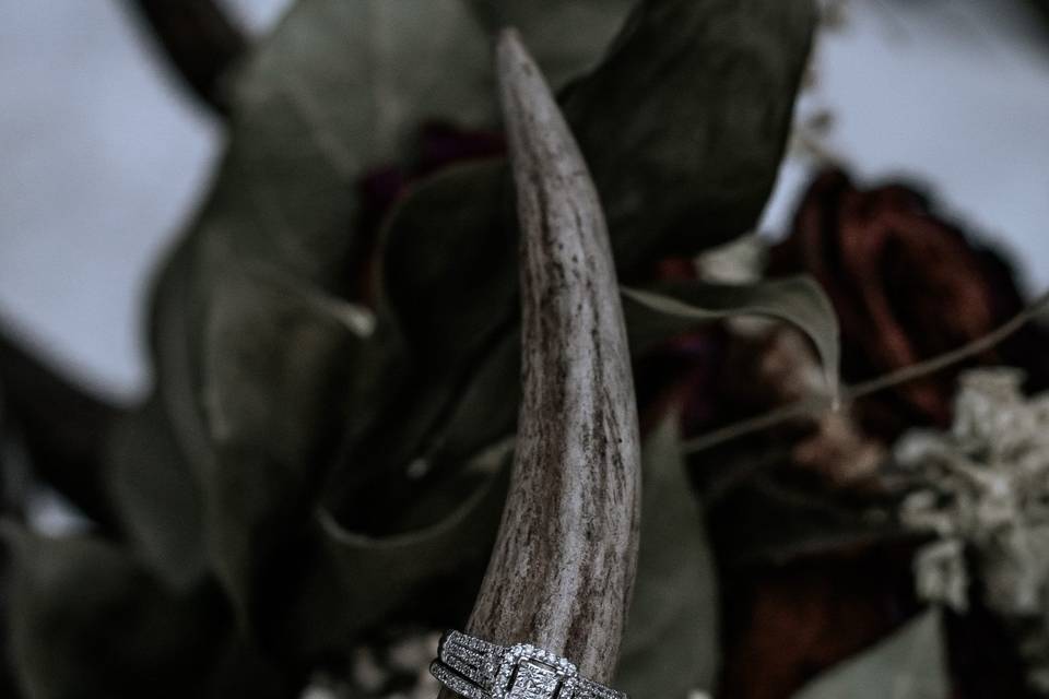 Bride's rings on antler