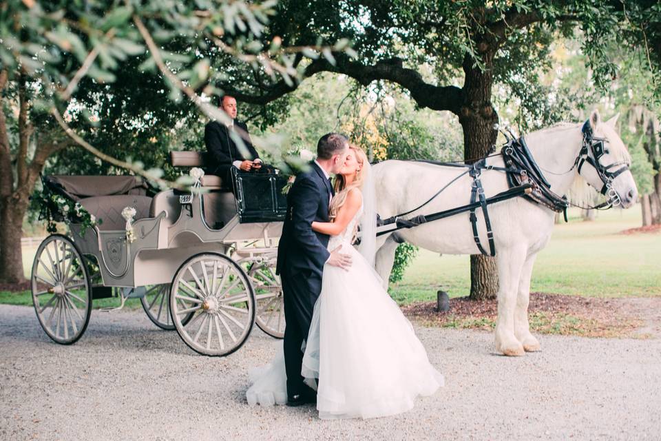 Horse and carriage at venue