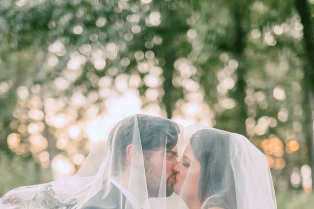 Blue Conifer Photography