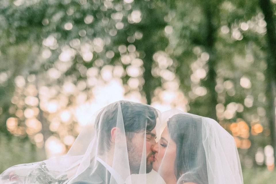 Blue Conifer Photography