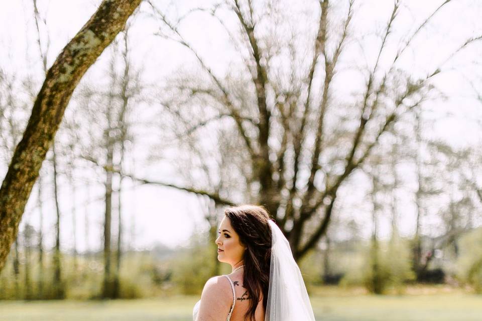 Blue Conifer Photography