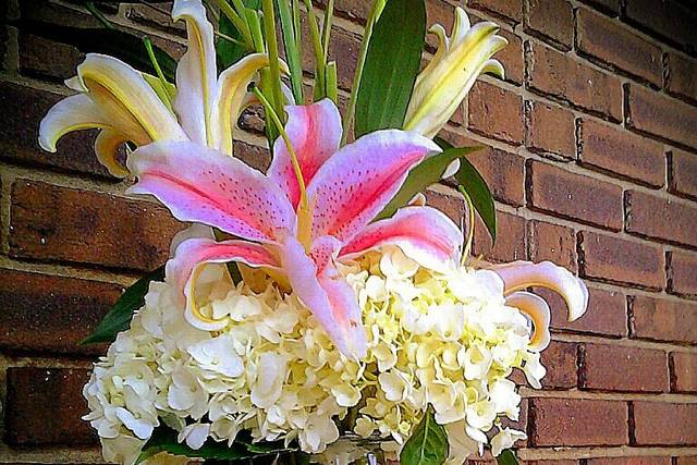 Monarch Floral Design