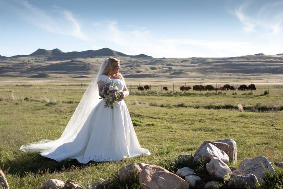 Landscape and gown