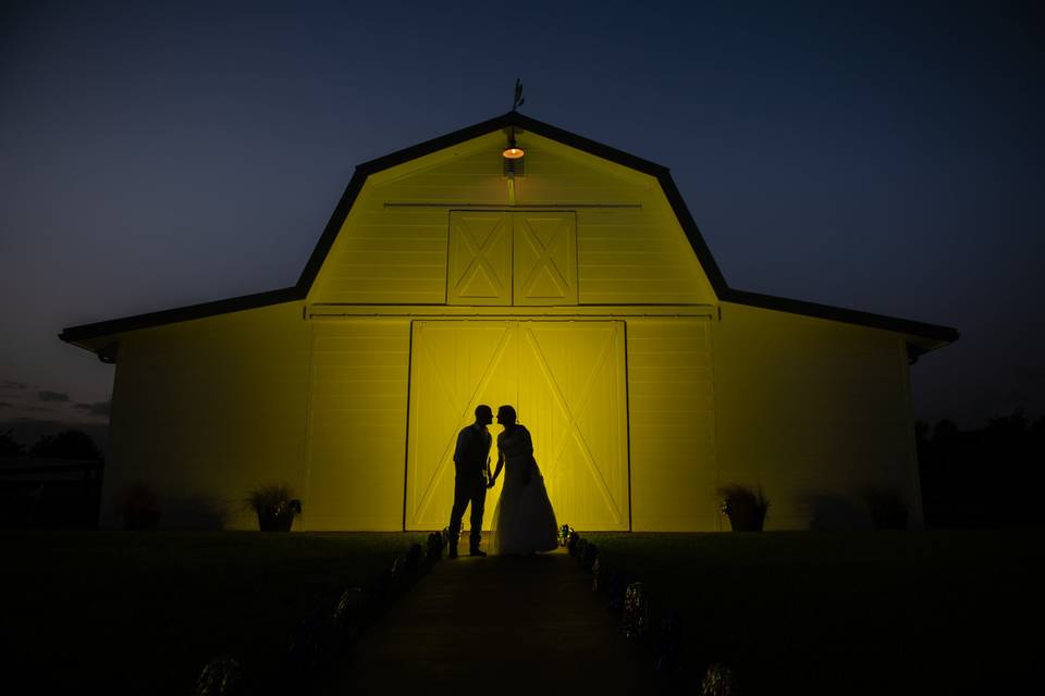 Evening Silhouette