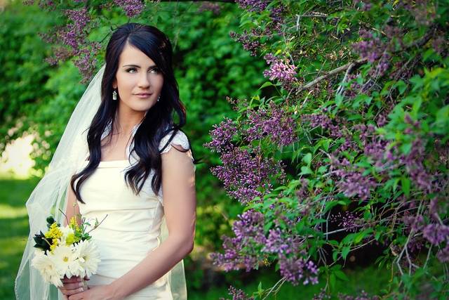 Elegant Images