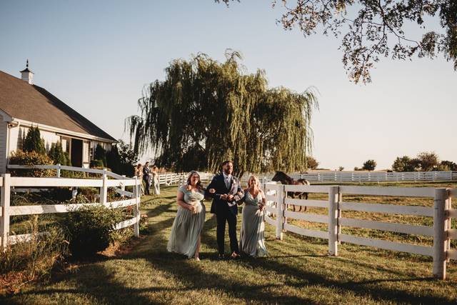 Horse watches the processional