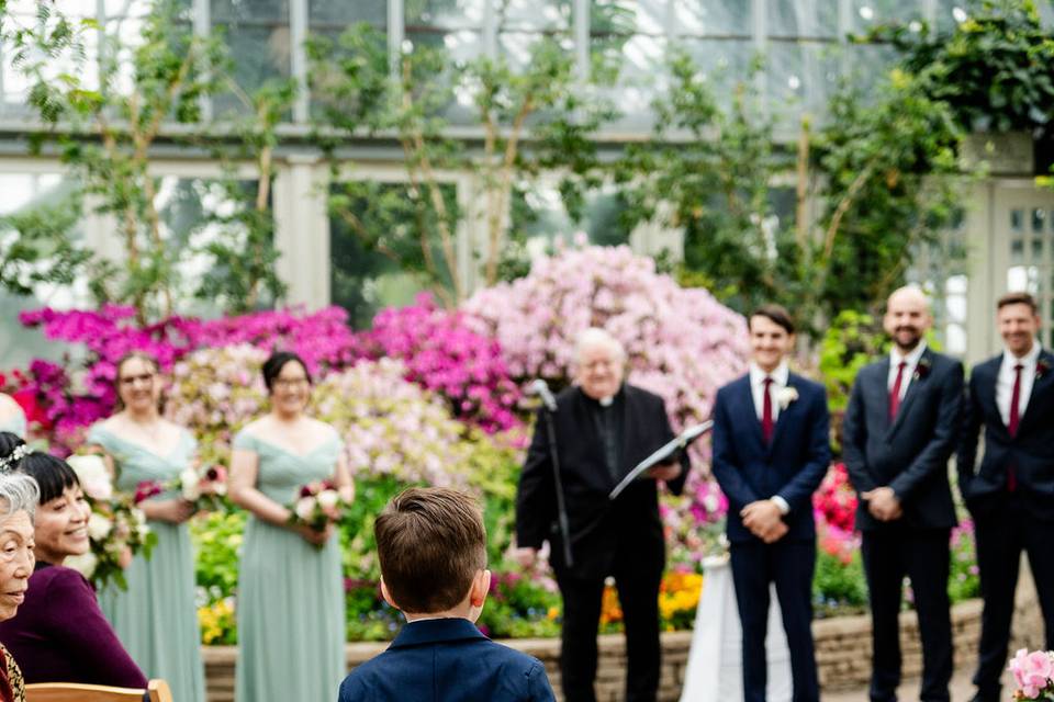Ring bearer comes in