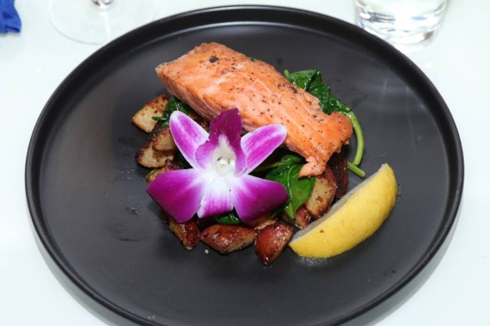 Fresh salmon dishes