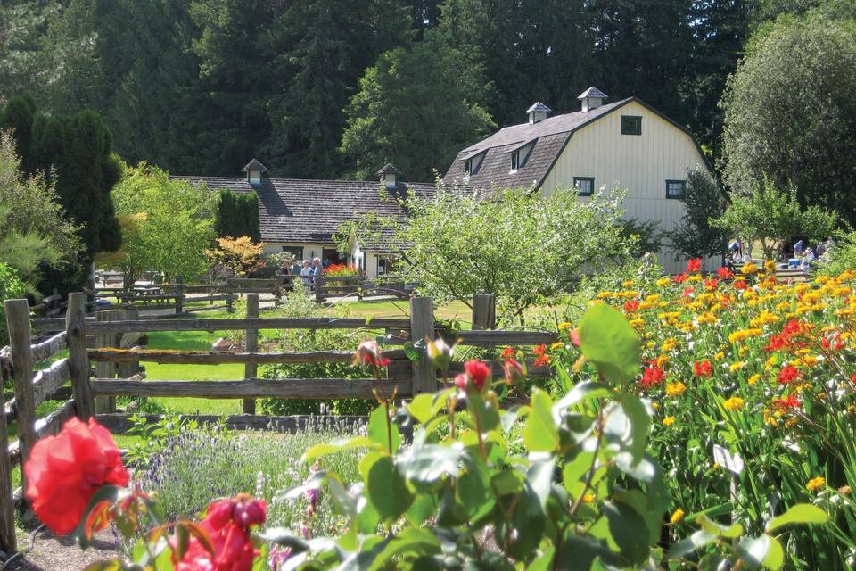 Trillium Woods Farm