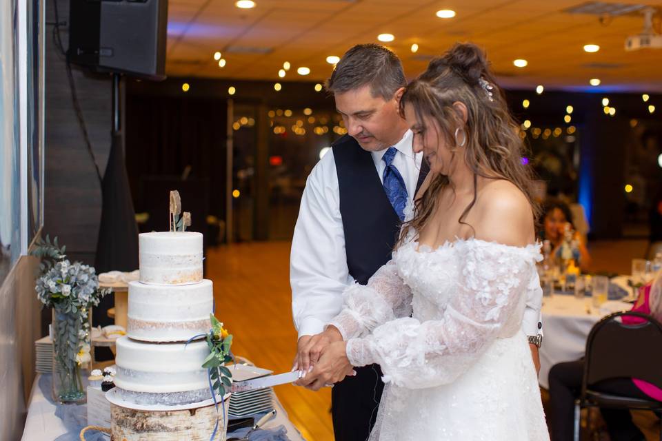 Cake cutting