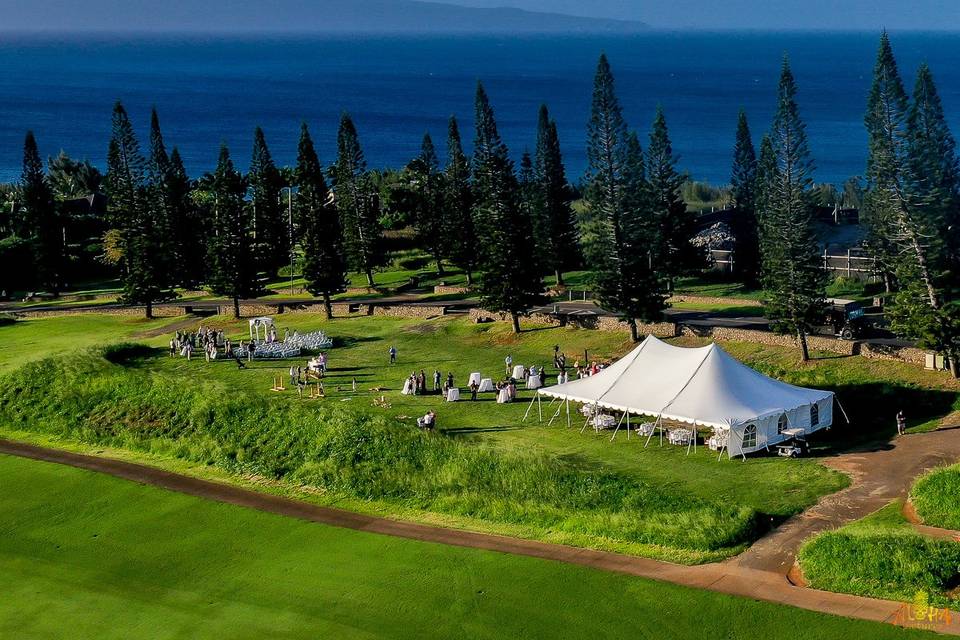 Molokai Lawn