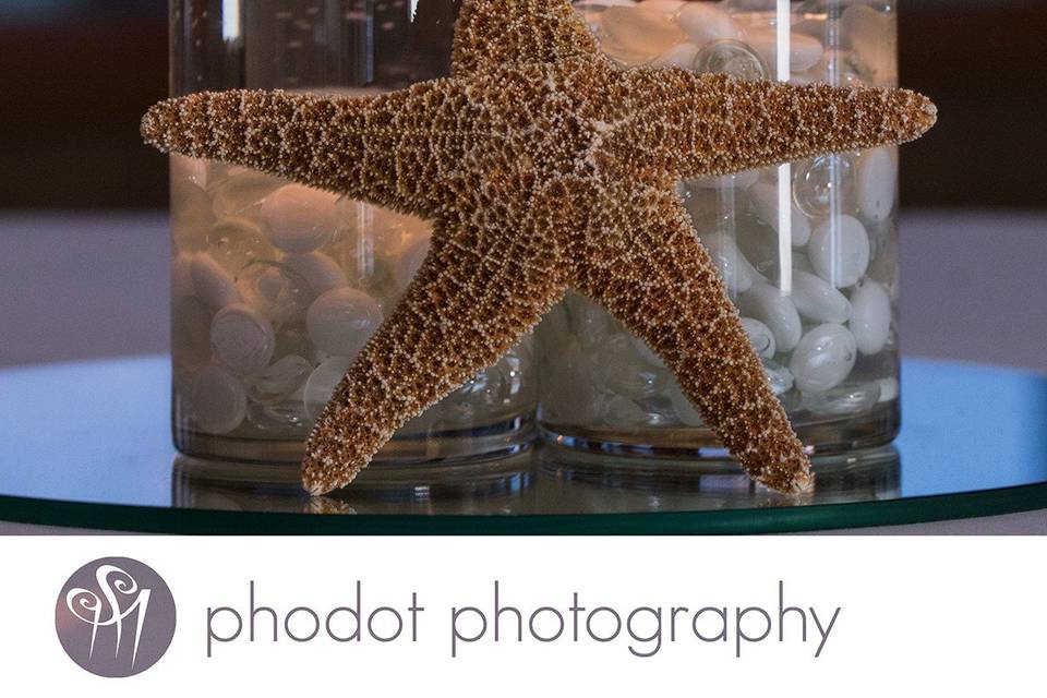 Phodot Photography Studio