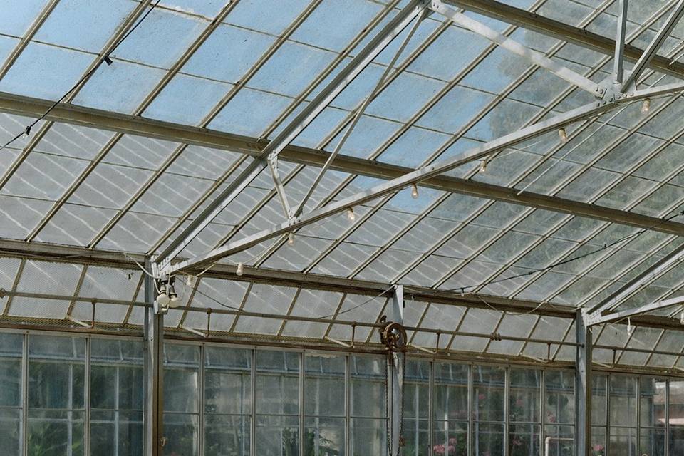 Dos_pueblos_orchid_farm 