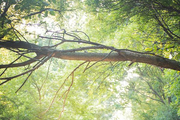 Bethany Opp Photography