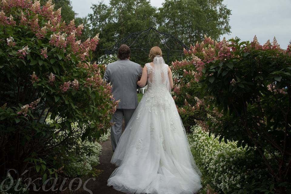 Up the aisle at village garden