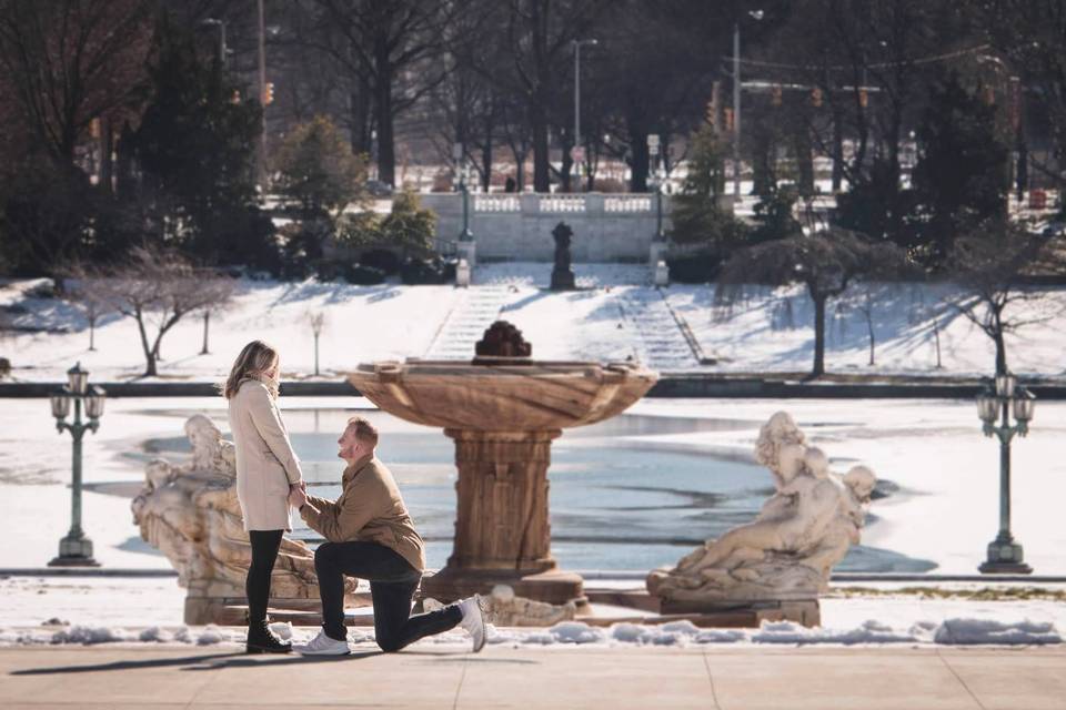 Snowy proposal