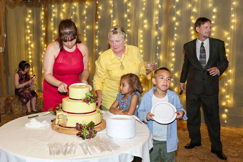 Reception cake serving