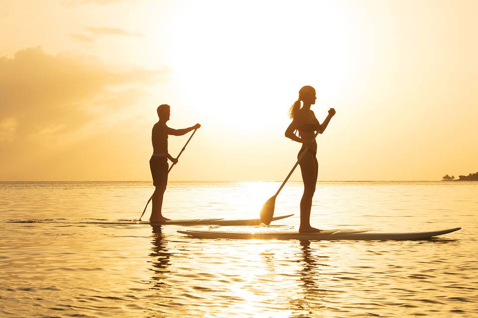 Paddleboarding into the sunset