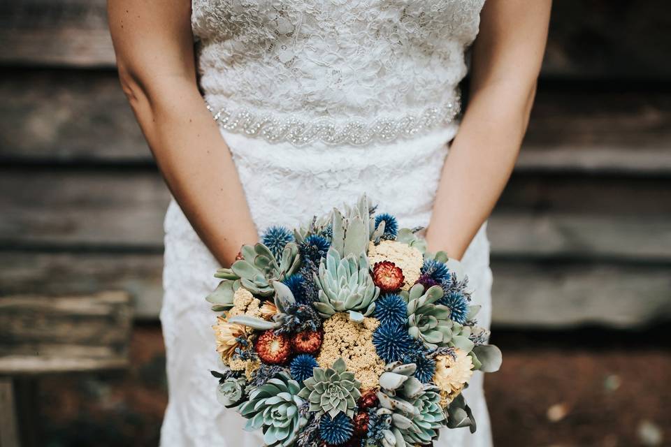 Amanda Lynn Photography