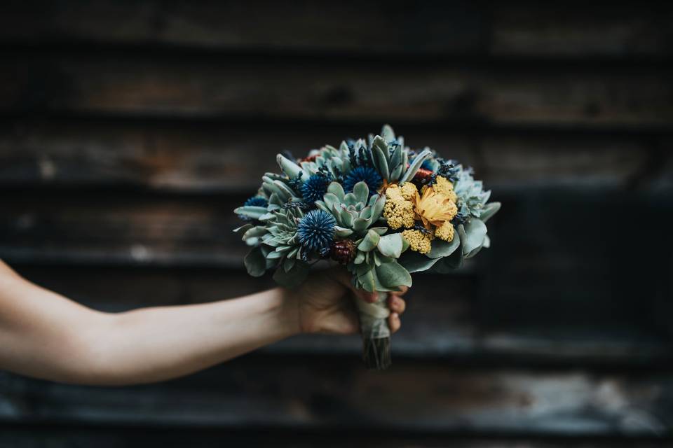 Amanda Lynn Photography
