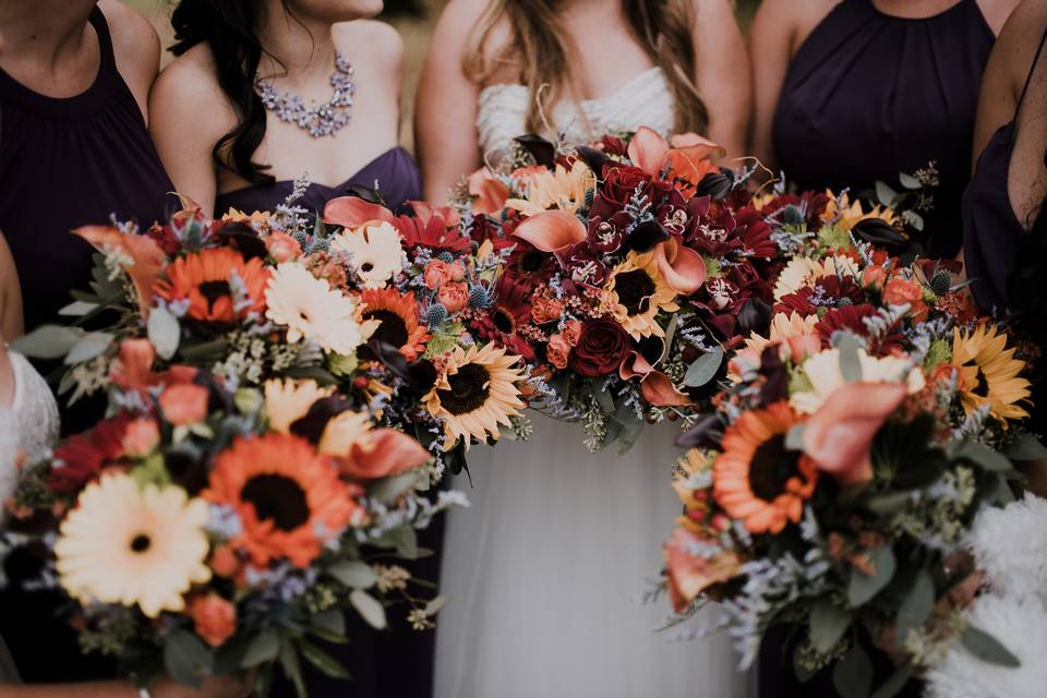 Amanda Lynn Photography