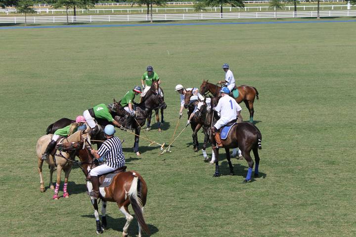 Polo match