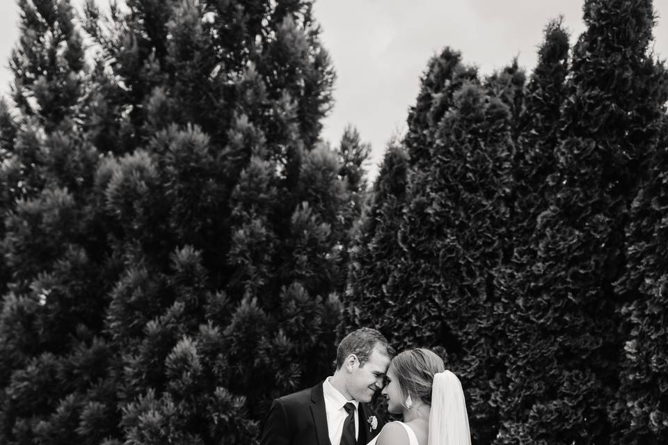 Payton Wedding