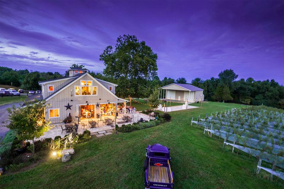 Winery Wedding