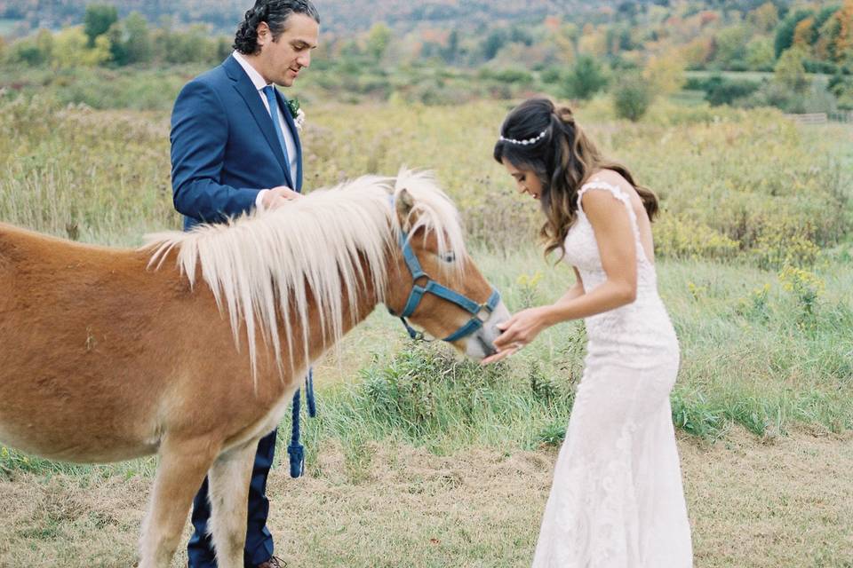 Upstate NY Fine Art Wedding